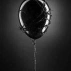 520196012_1288864342628535_3521136399466634249_n