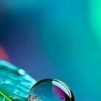 500533272_9726359534142559_4531335351364562217_n