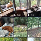 Screenshot_20250831_074153_io_cheelee_app_MainActivity