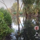 Screenshot_20250831_073945_io_cheelee_app_MainActivity