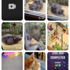 Screenshot_20250831_080513_video_like_MainActivity