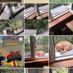 Screenshot_20250831_081007_com_instagram_android_InstagramMainActivity