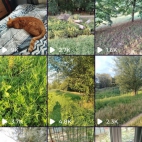 Screenshot_20250831_074148_io_cheelee_app_MainActivity