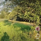 Screenshot_20250831_073736_io_cheelee_app_MainActivity