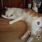 Screenshot_20250831_073522_io_cheelee_app_MainActivity