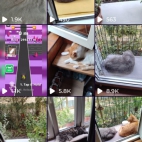 Screenshot_20250831_072935_io_cheelee_app_MainActivity