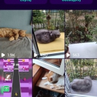 Screenshot_20250831_072924_io_cheelee_app_MainActivity