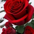 FB_IMG_1756617447342