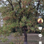 Screenshot_20250831_065648_com_zhiliaoapp_musically_DetailActivity