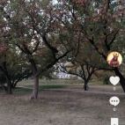 Screenshot_20250831_065637_com_zhiliaoapp_musically_DetailActivity