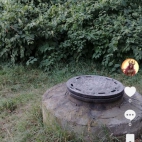 Screenshot_20250831_065631_com_zhiliaoapp_musically_DetailActivity