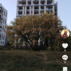 Screenshot_20250831_065605_com_zhiliaoapp_musically_DetailActivity