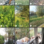 Screenshot_20250831_074140_io_cheelee_app_MainActivity