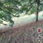 Screenshot_20250831_073534_io_cheelee_app_MainActivity