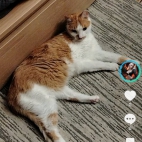 Screenshot_20250831_214156_com_zhiliaoapp_musically_MainActivity