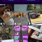 Screenshot_20250831_190739_io_cheelee_app_MainActivity