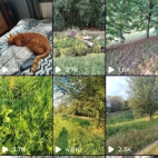 Screenshot_20250831_080553_io_cheelee_app_MainActivity