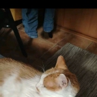 Screenshot_20250831_075812_com_zhiliaoapp_musically_MainActivity