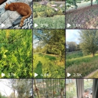 Screenshot_20250831_074158_io_cheelee_app_MainActivity