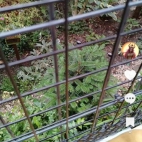 Screenshot_20250831_070421_com_zhiliaoapp_musically_DetailActivity