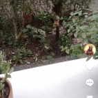 Screenshot_20250831_070415_com_zhiliaoapp_musically_DetailActivity