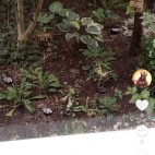 Screenshot_20250831_065919_com_zhiliaoapp_musically_DetailActivity