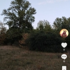 Screenshot_20250831_065652_com_zhiliaoapp_musically_DetailActivity