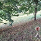 74ec9cf248a74ed6756d247647ef4d7b_900