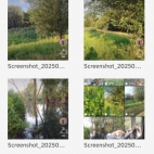 Screenshot_20250903_141928_com_android_chrome_ChromeTabbedActivity