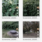 Screenshot_20250903_132744_com_android_chrome_ChromeTabbedActivity