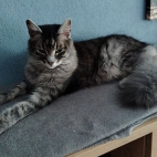 3da979dcd584efaf53d434c3e14265fe_0