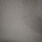 2ff234da2519012b51aca99d64845819_0