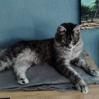 2e00262fa51e1cbdc7c7bd3975e1303b_0