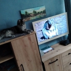 82dda47b14d31aec0e0f3ab4d0bf322d_0