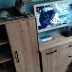 f03abad00f8d1183aa539a7ced68ab4b_0