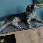 6bdffb5cf2d1166641339161bc0eb3ed_0