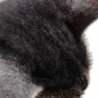 e3cc92f776f1ada0c2e15fa2a53cc908_0