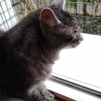 1e13107be74097b5e154e4989967258f_0