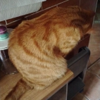 df7fdc837e6b4930e6c601ecd233c2dc_0