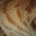 65b1d754c7c679c5e01be7ee0c221a62_0