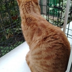 a4f4a8a81cff90b90a9d26293ea56c1e_0