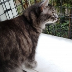 012520beeea81f11330f91e93e29df5d_0