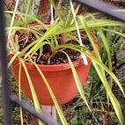 23f29d6be8f303624363bb0300909d1f_0