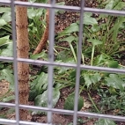 c7576019001742d8ee9b6abac0c0e55a_0