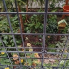 35a6b908bfa10743f08a7038803d5de6_0