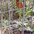 372cda139fc968a80e3402f191818a77_0