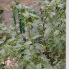 2d627e0c49c62bb5d9d379c9aaa05d7c_0