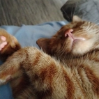 6f540a62841cb9b9aede50a8d9b33327_0