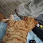 9708d1bf8e19e66936d5855e1b01c34b_0