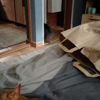 fb0794426cd3f3017a0ee4cca4dd4442_0